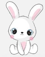 rabbit-bunny