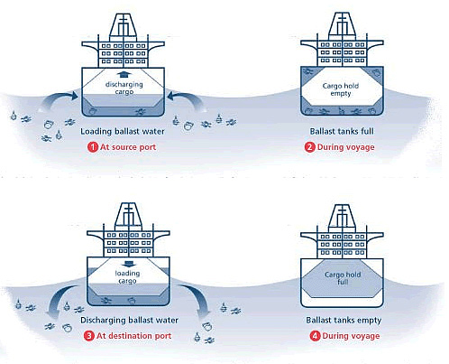 bwm discharge