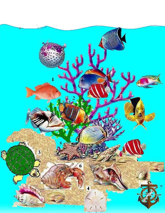 fish_garden