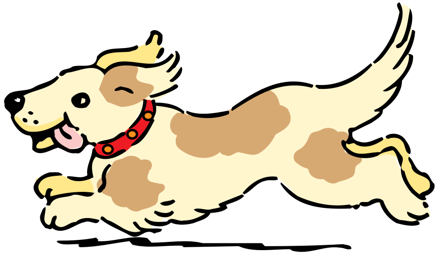 dog1