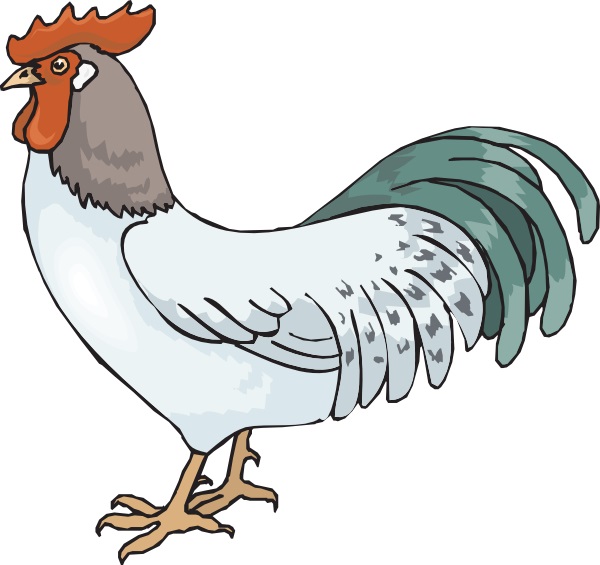 rooster-96